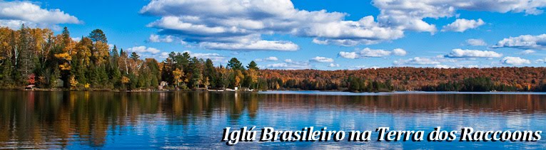 Iglú Brasileiro na Terra dos Raccoons