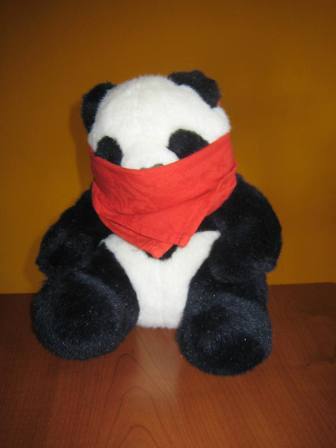 [pandabavaglio.JPG]