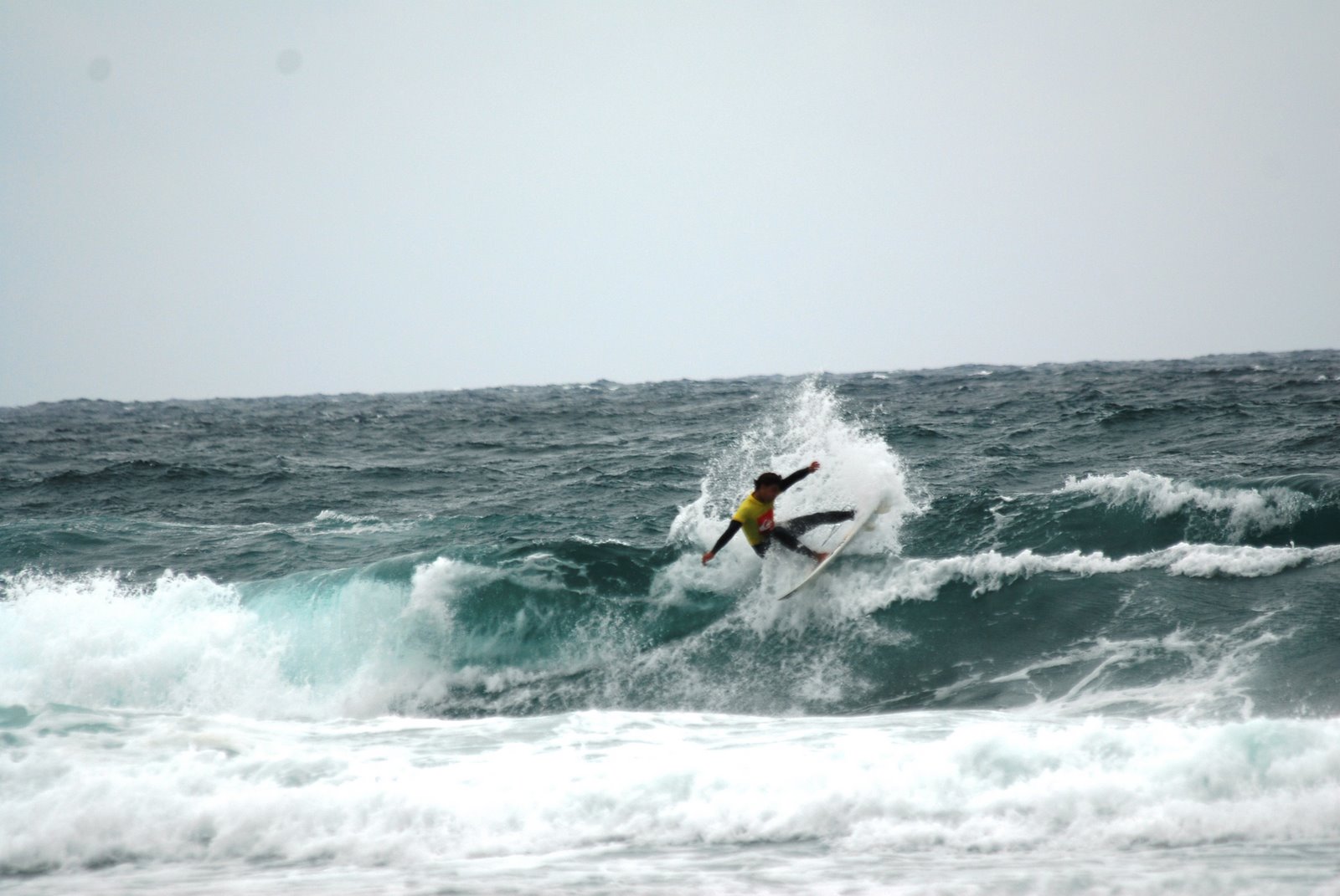 [DSC_0048.JPG]