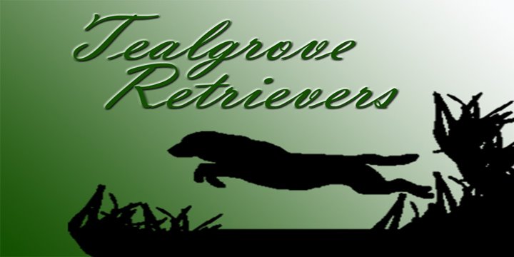 Tealgrove Retrievers