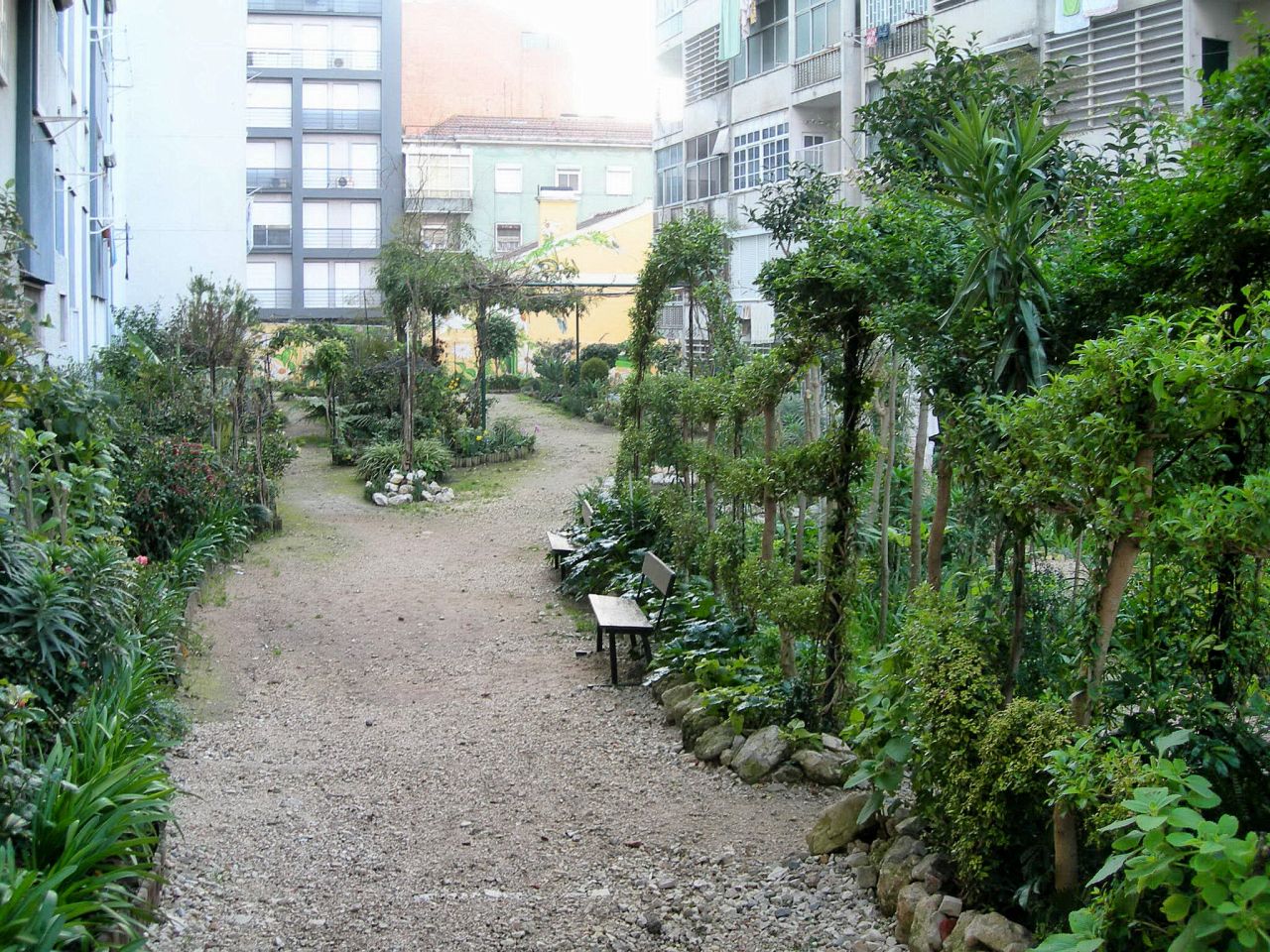 [FSCN3520.JPG]