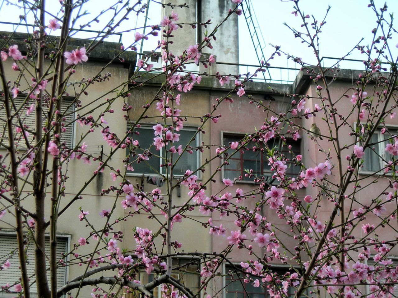 [FSCN4021.JPG]