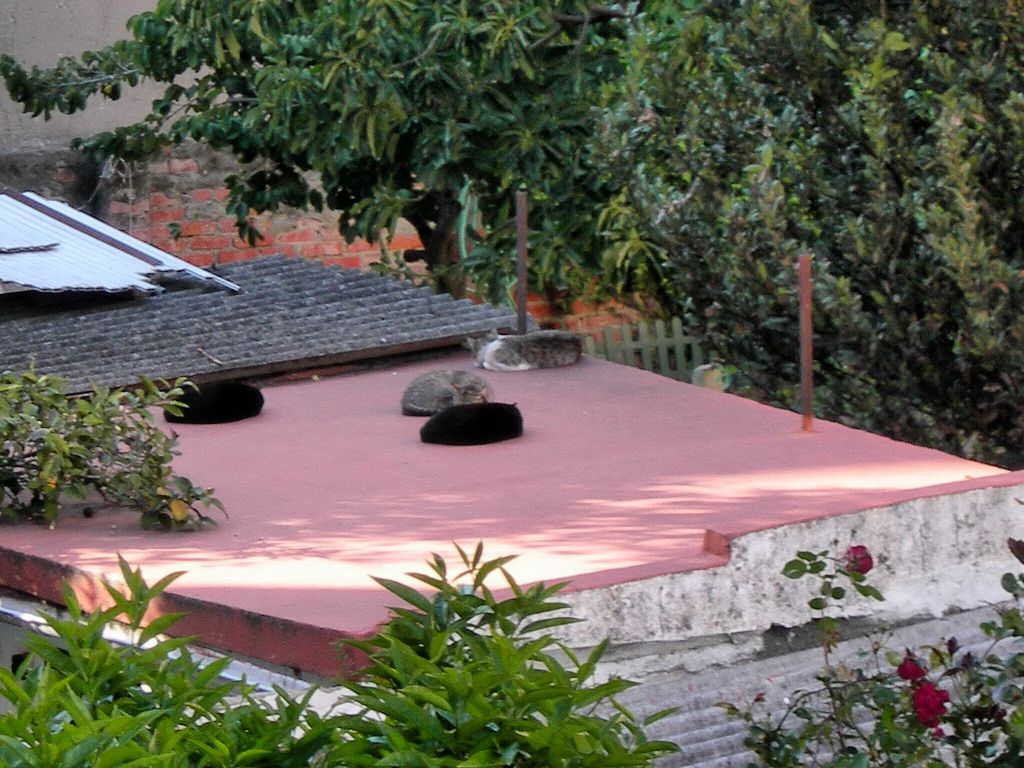 [FSCN4652.JPG]