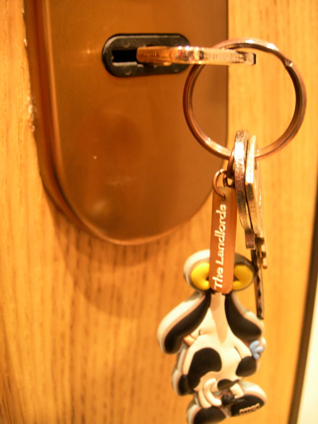 [FSCN6645.JPG]
