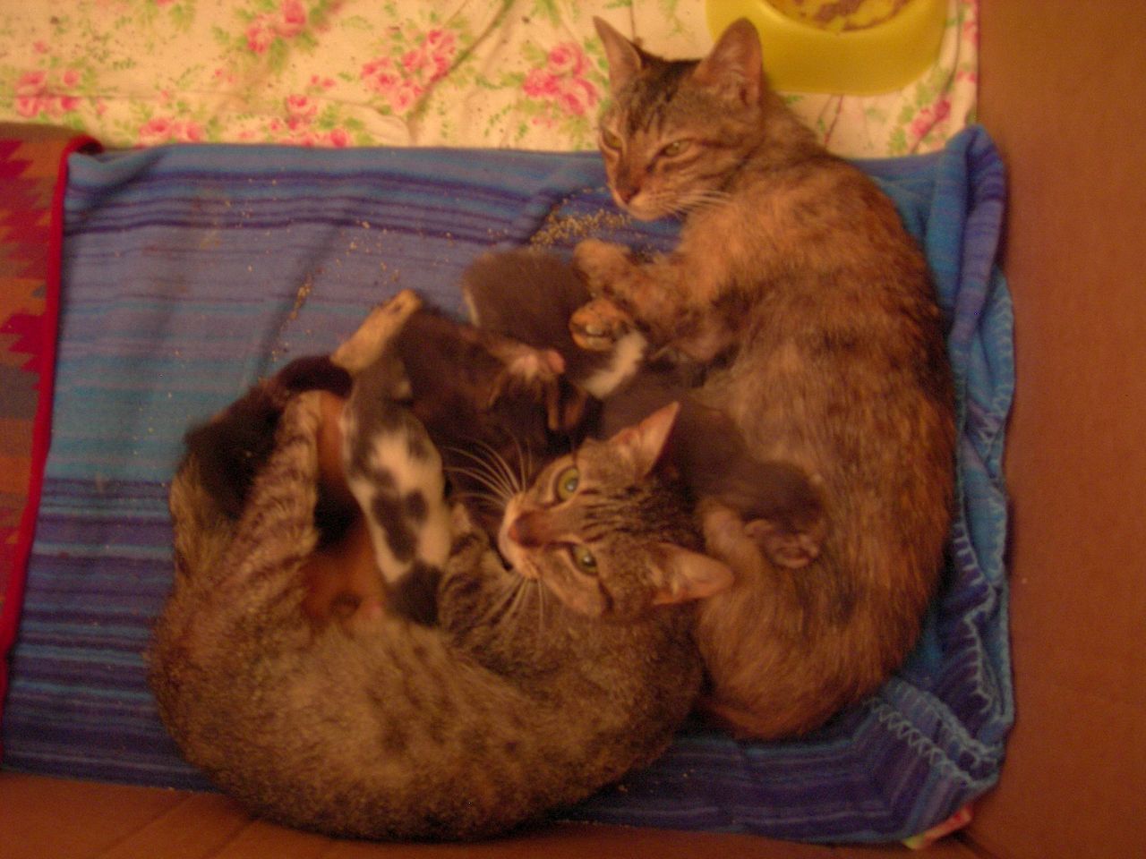 [DSCN5009.JPG]