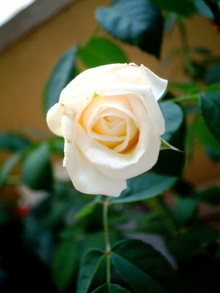 [DSCF3313.JPG]