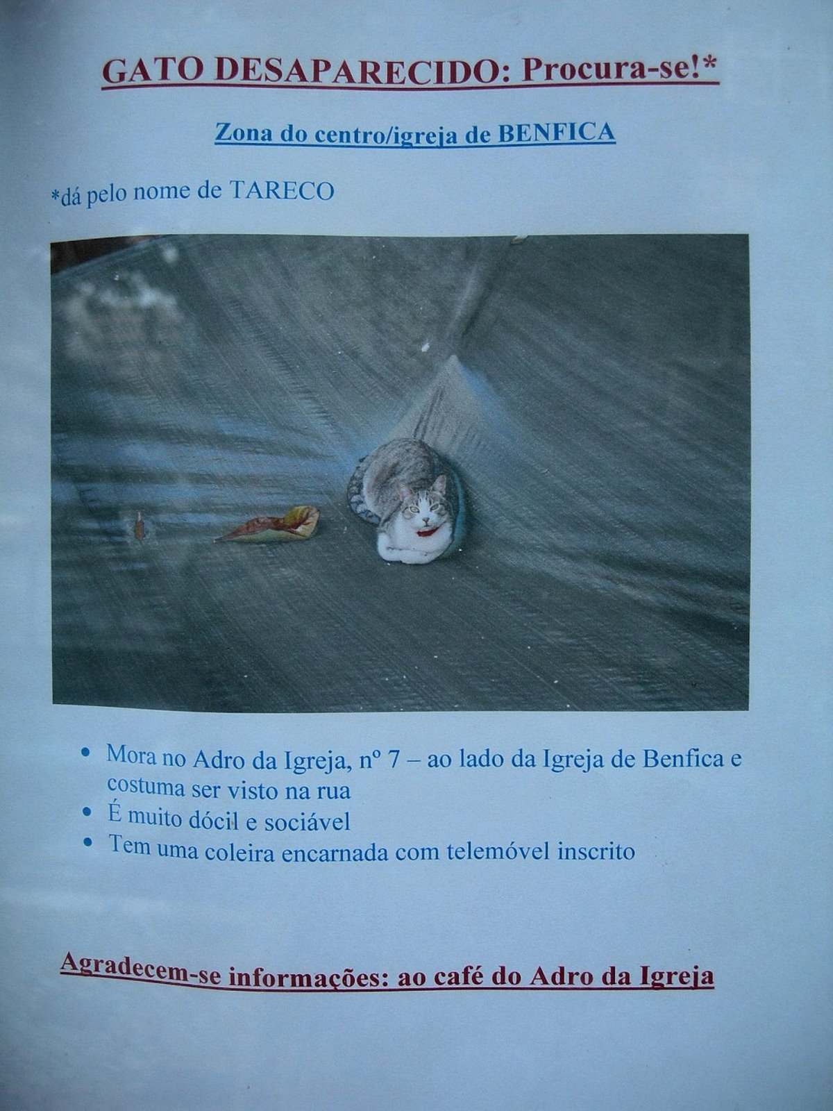 [FSCN6625.JPG]