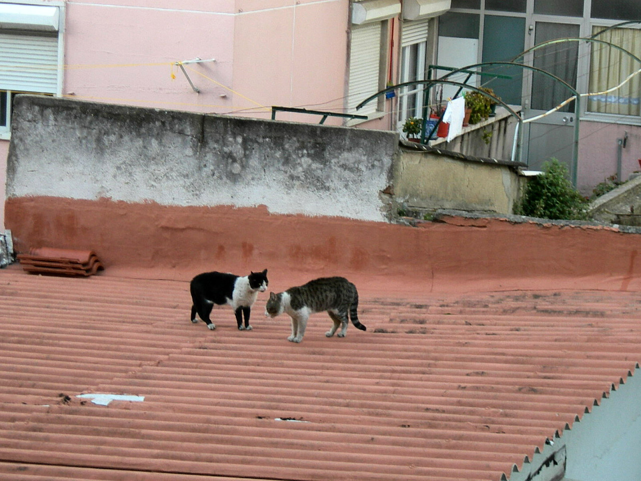[RSCN7889.JPG]