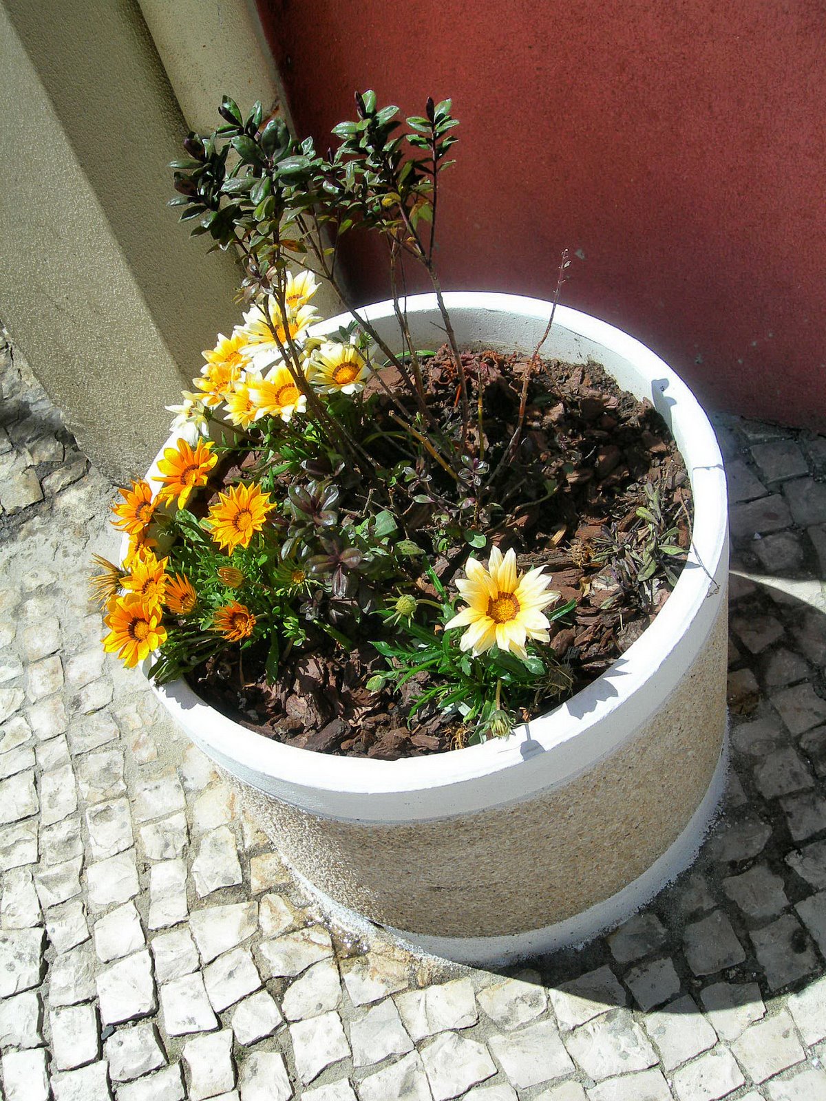 [FSCN8683.JPG]