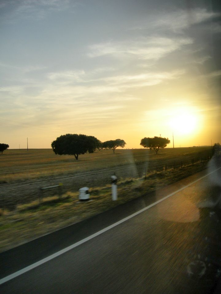 [FSCN9260.JPG]