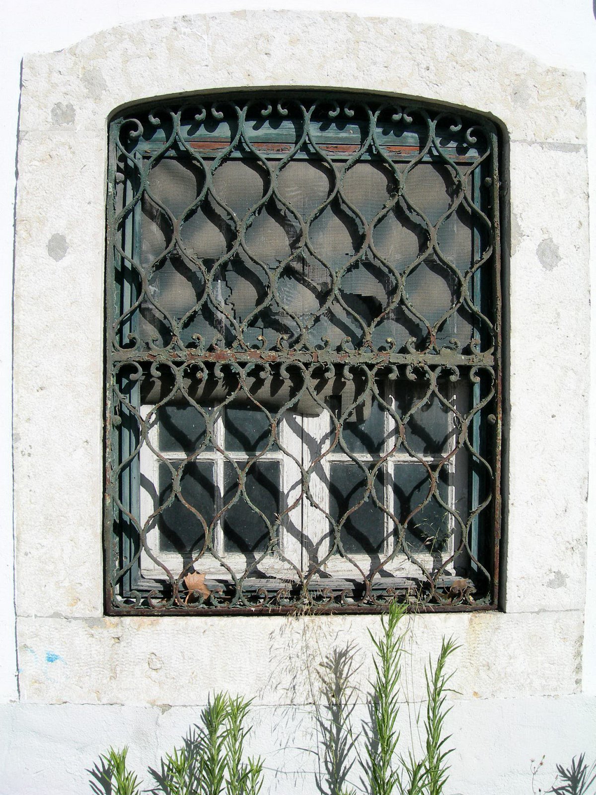 [FSCN9325.JPG]