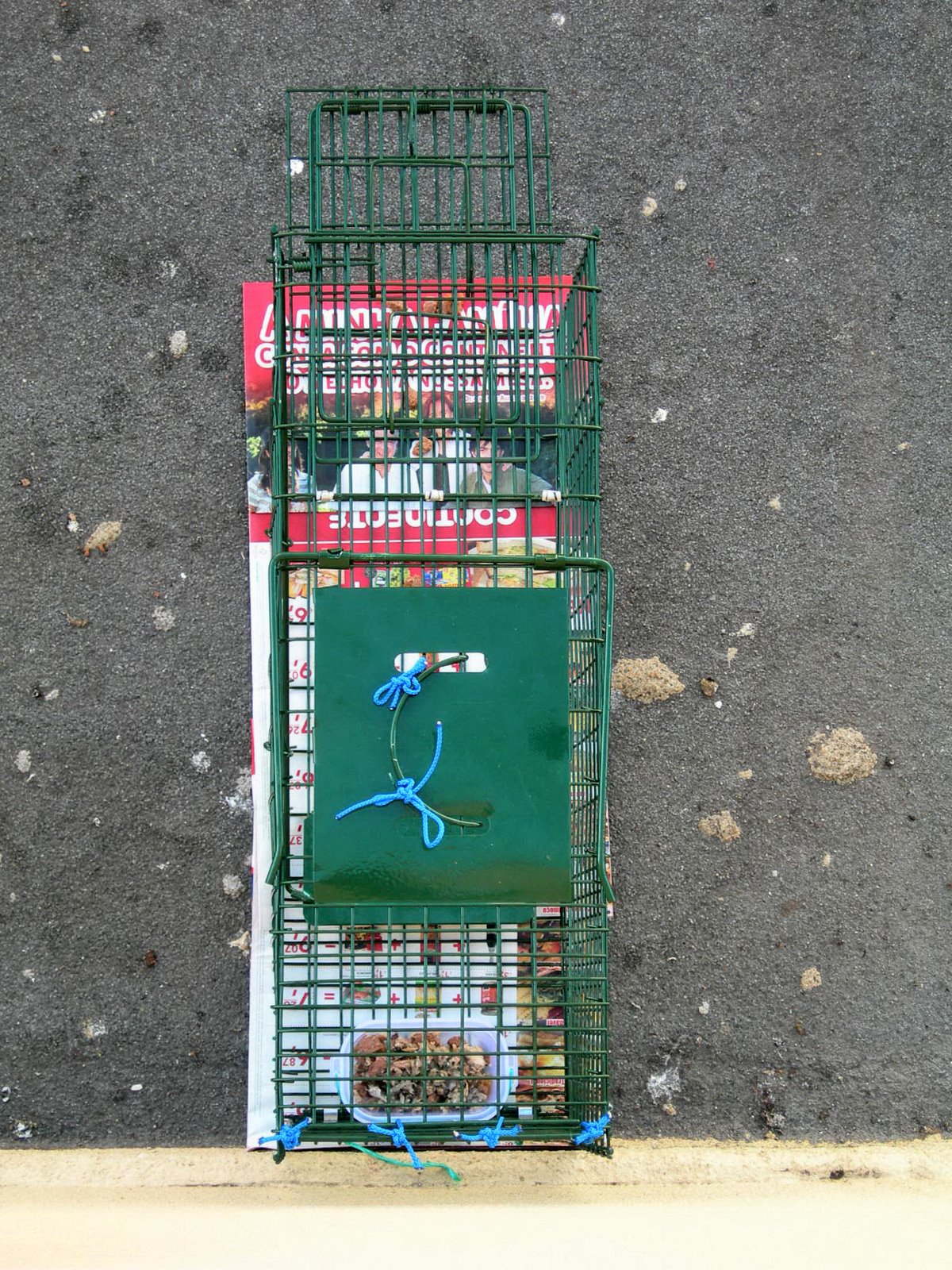 [FSCN9658.JPG]
