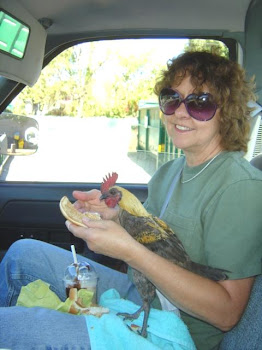 Sharing Lunch with Mom