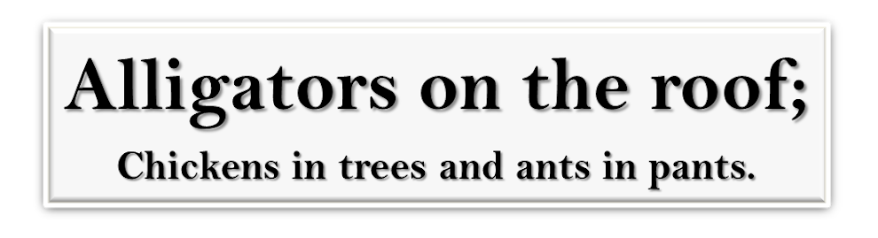 MGH -Alligators on the roof, chickens in trees and ants in pants.