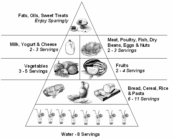 Healthy+food+pyramid+for+kids