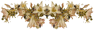 http://2.bp.blogspot.com/_vzrlnu76oJw/SrjOWYOeS6I/AAAAAAAACNw/Xpj8TaJJcGI/s320/barrafloramarela.gif