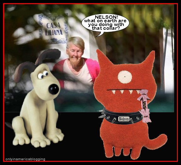 [nelson_what_on_earth.jpg]