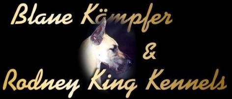 BLAUE KAMPFER Y RODNEY KING KENNELS