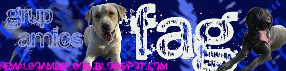 grup amics " fem algo amb el gos"