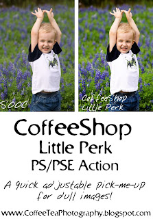 Coffee Shop Blog Actions on Coffeeshop Little Perk Ps Pse Action