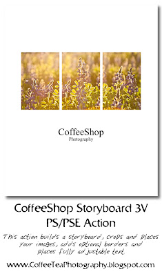 http://coffeeteaphotography.blogspot.com/2009/06/coffeeshop-3v-storyboard-template-and.html