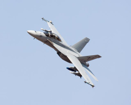 [FA-18F.jpg]