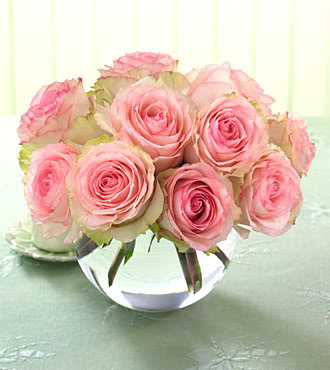 pictures of roses with quotes. lt;br /gt;lt;img srcquot;http://2.bp.blogspot.com/_w1aANxizQkU/TU_WZfI3lpI/AAAAAAAAAT4/HFXtUS_ugiU/s400/roses%2B%25282%2529.jpgquot; borderquot;0quot; /gt;lt;br /gt;