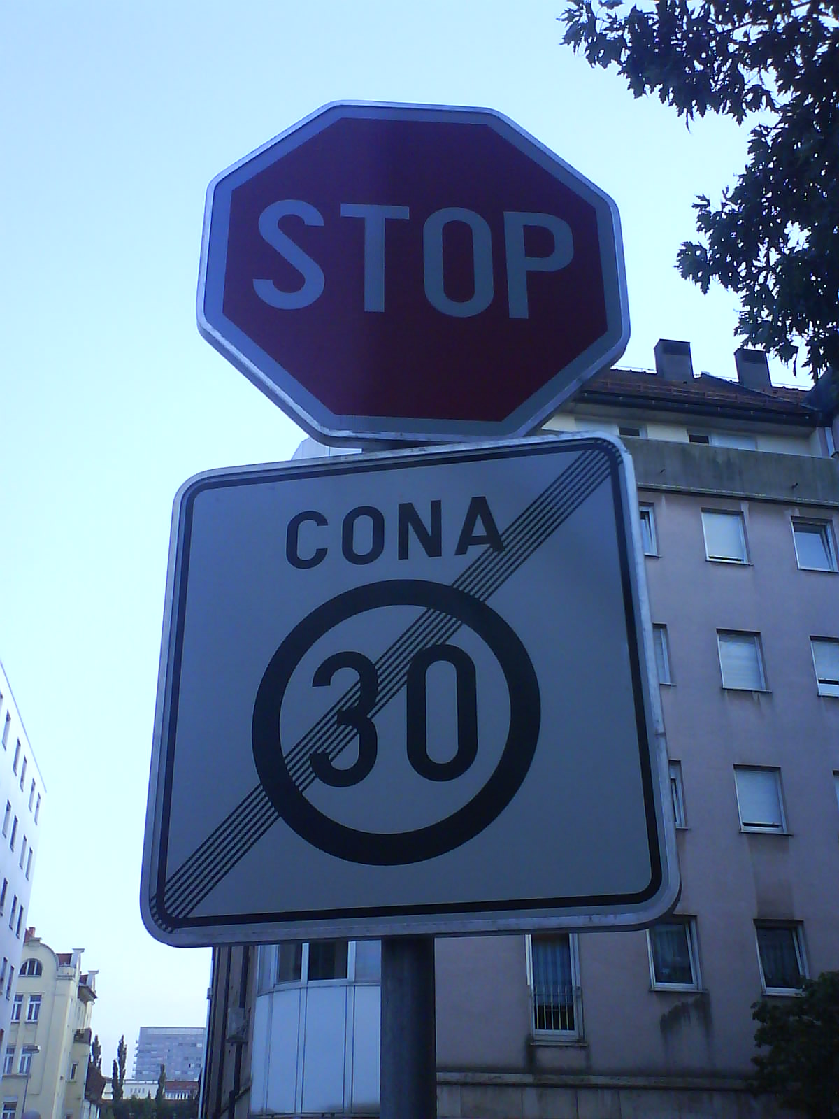 [DSC00963.JPG]