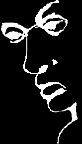 optical illusion liar face picture photo image