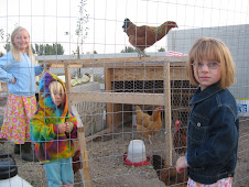 Our first chickens...The girls love to play with them!