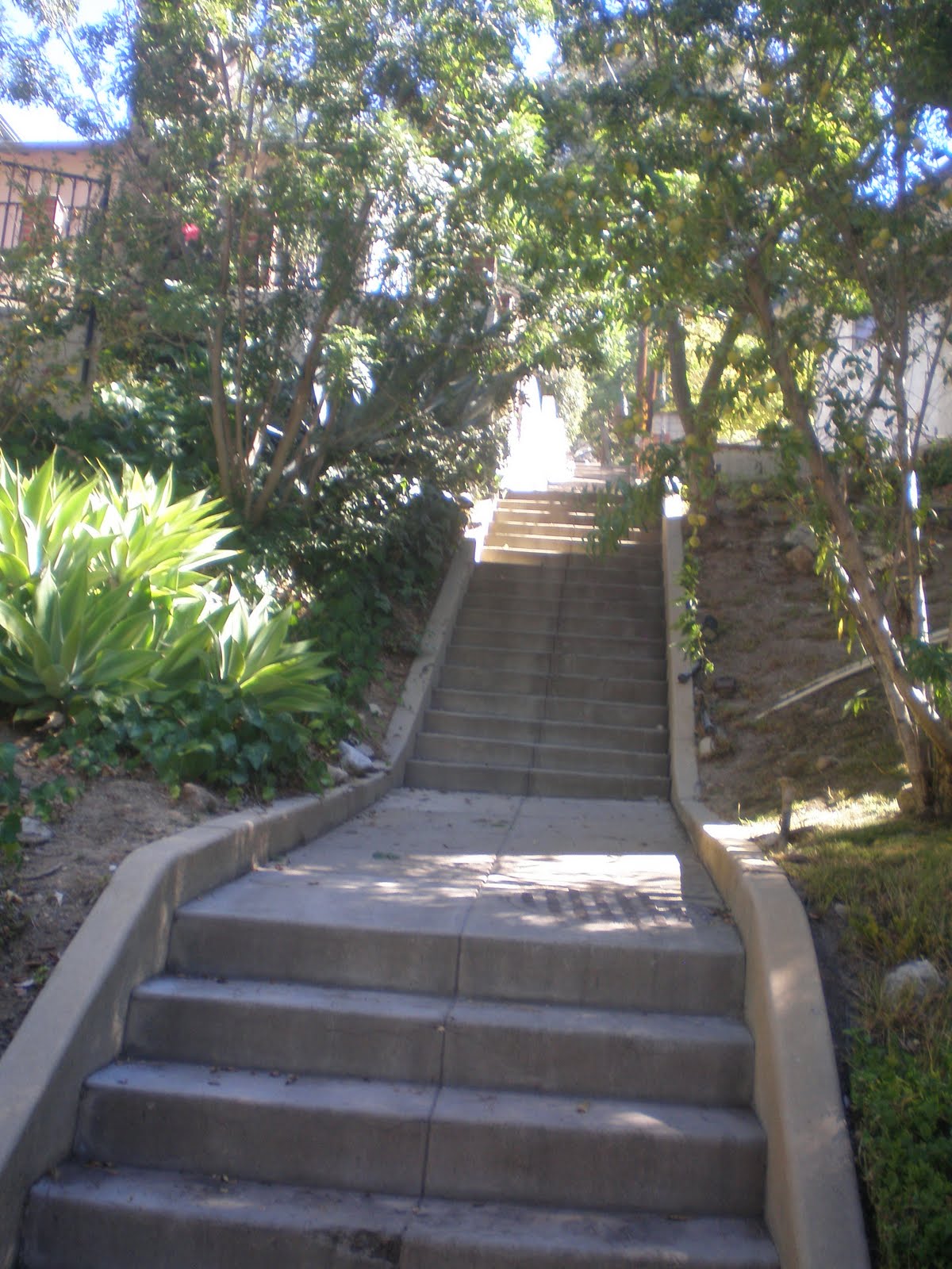 Climbing LA Walk 1 Pasadena La Loma Road