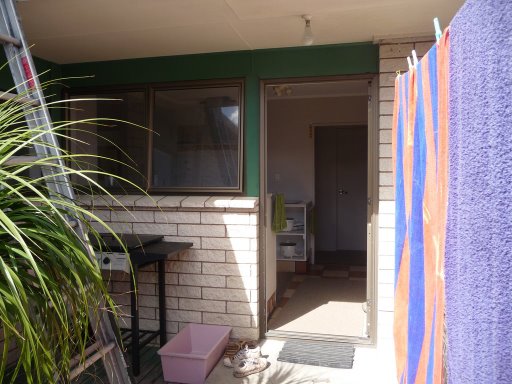 Un poco más de la casa (casucha) de Tauranga