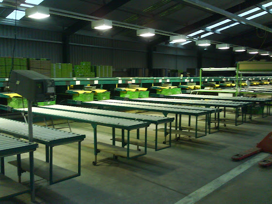 Packhouse - Nueva Zelanda
