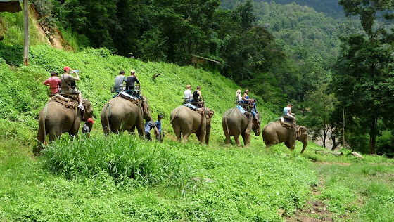 Paseo en elefante por Chiang Mai