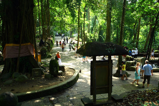 El Monkey Temple en Ubud