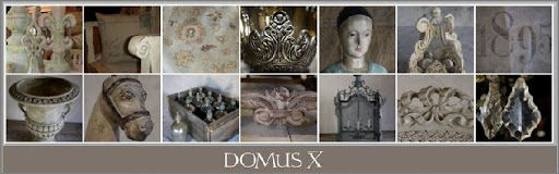 DOMUS X