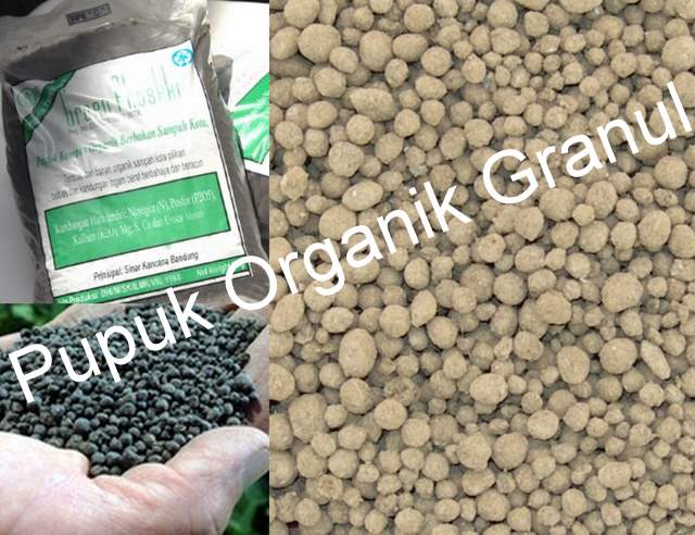 [1189717_granulator4.jpg]