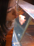 i love small cute fish...