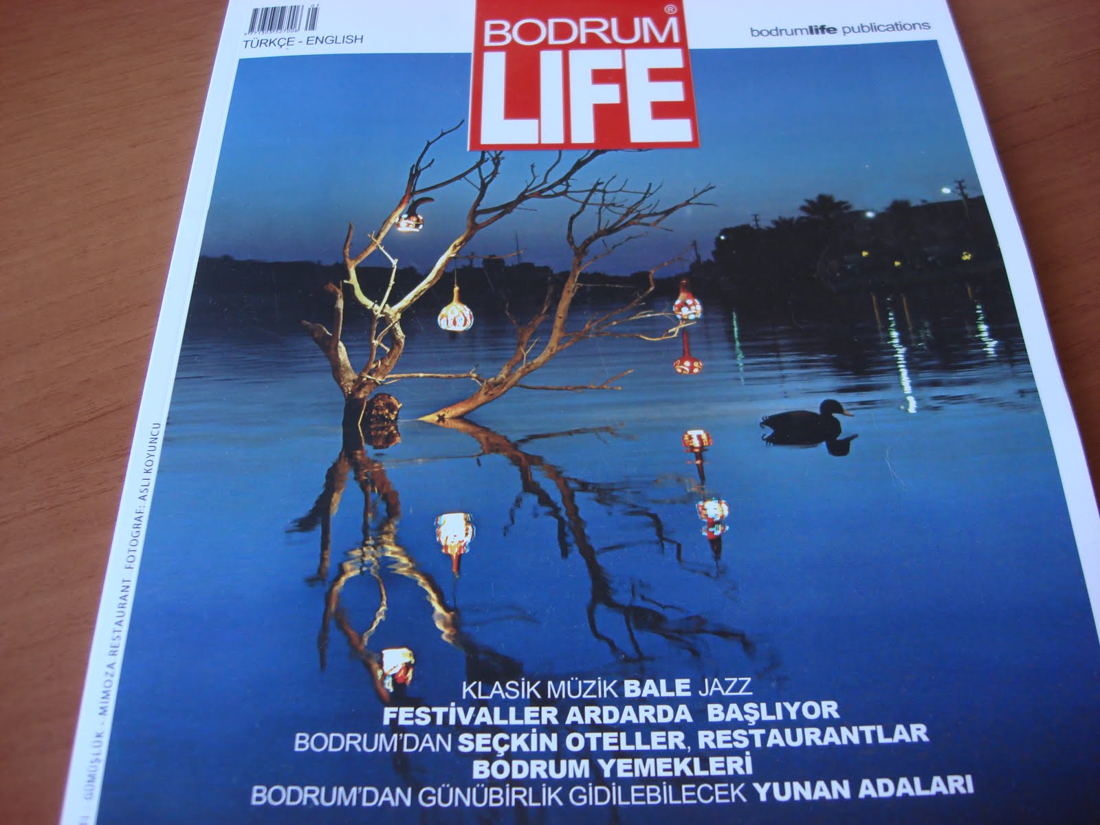 IŞILCA TATLAR TATİL DÖNÜŞÜ VE LEZZETLERİ