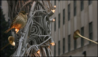 Vogel vorm Rockefeller Center