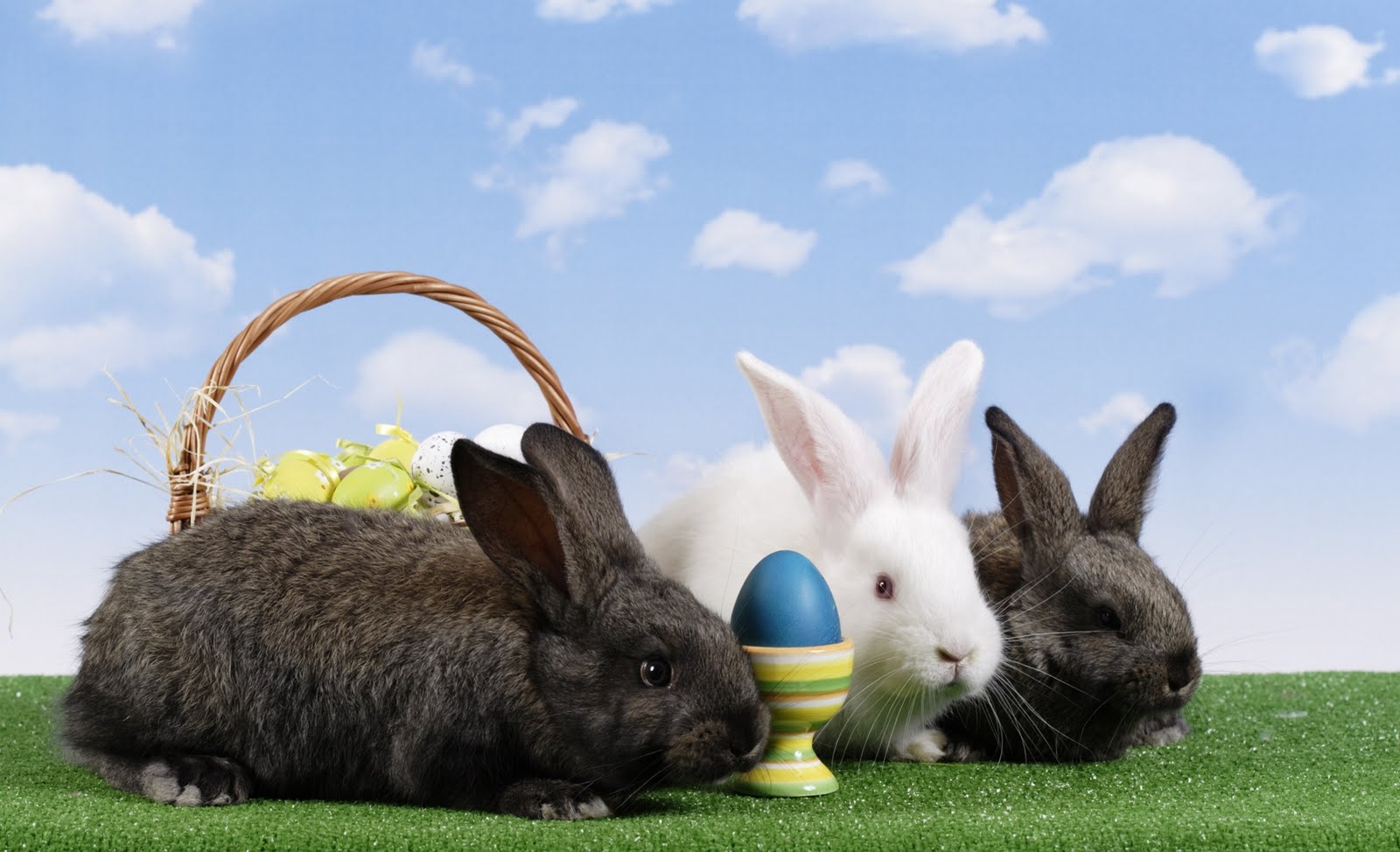 http://2.bp.blogspot.com/_w8vteUY-FyA/S8iSffzezTI/AAAAAAAAAB8/I9NPMLBKKYM/s1600/shutterstock_27440224.jpg