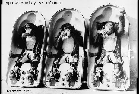 Space Monkey Briefing