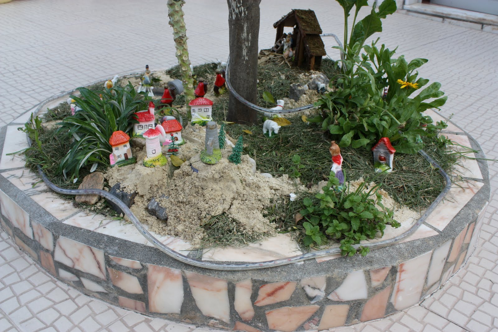 [IMG_5270.JPG]