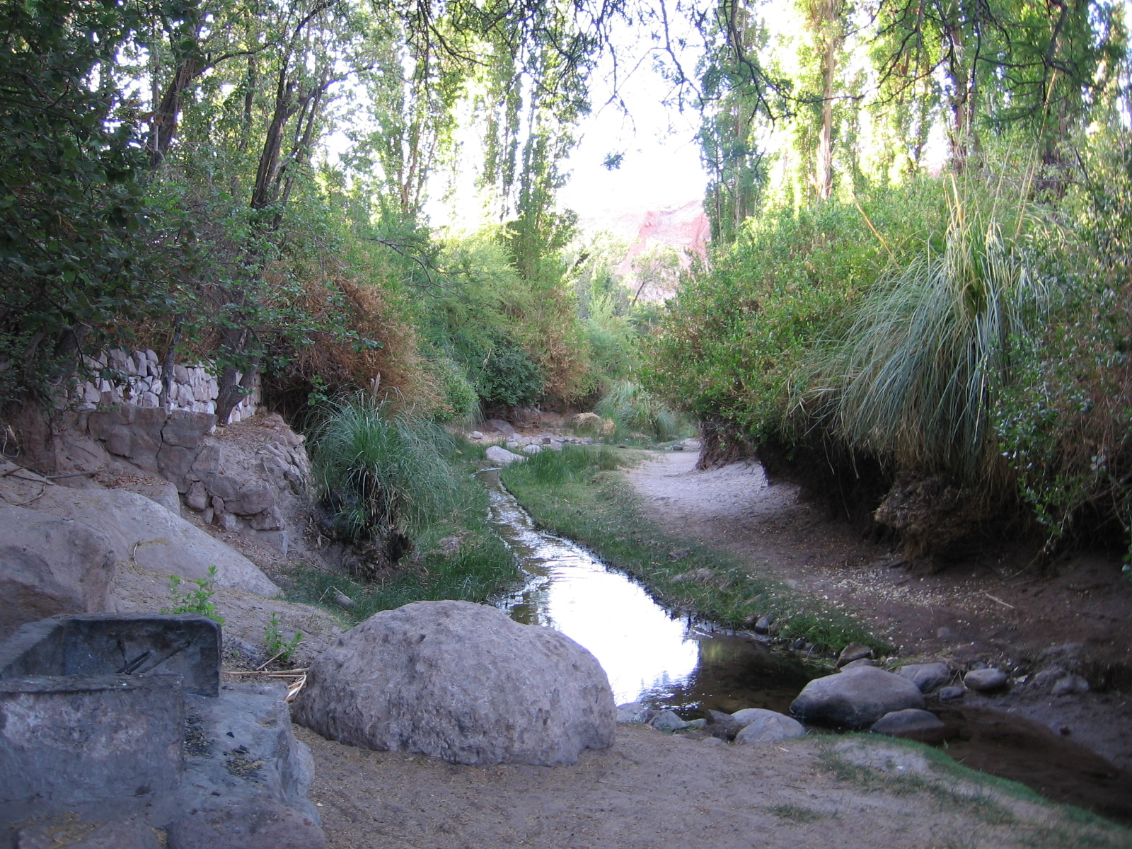 [IMG_7131.JPG]