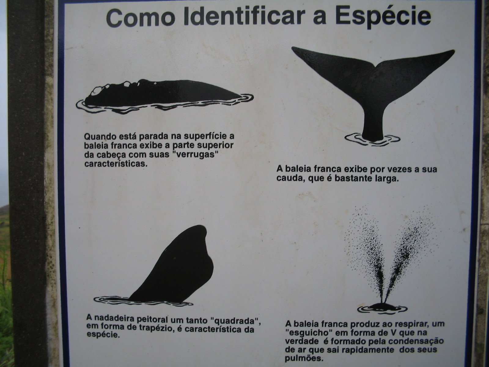 [IMG_0077.JPG]