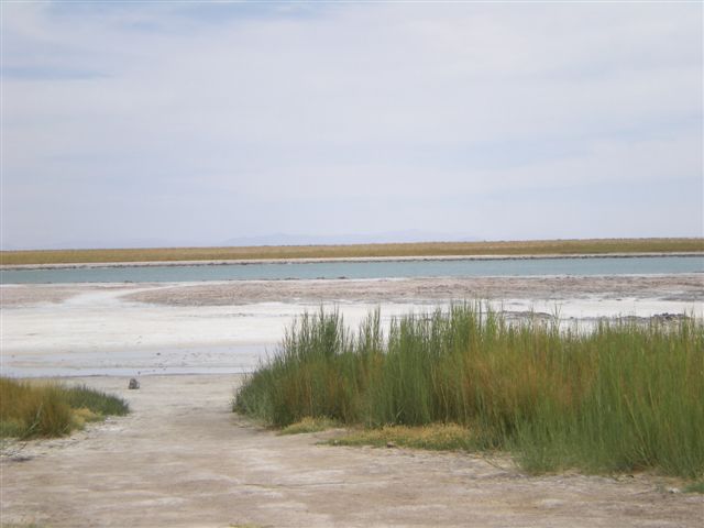 [Laguna+Cejar+II.JPG]