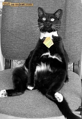 for Felix, the only man