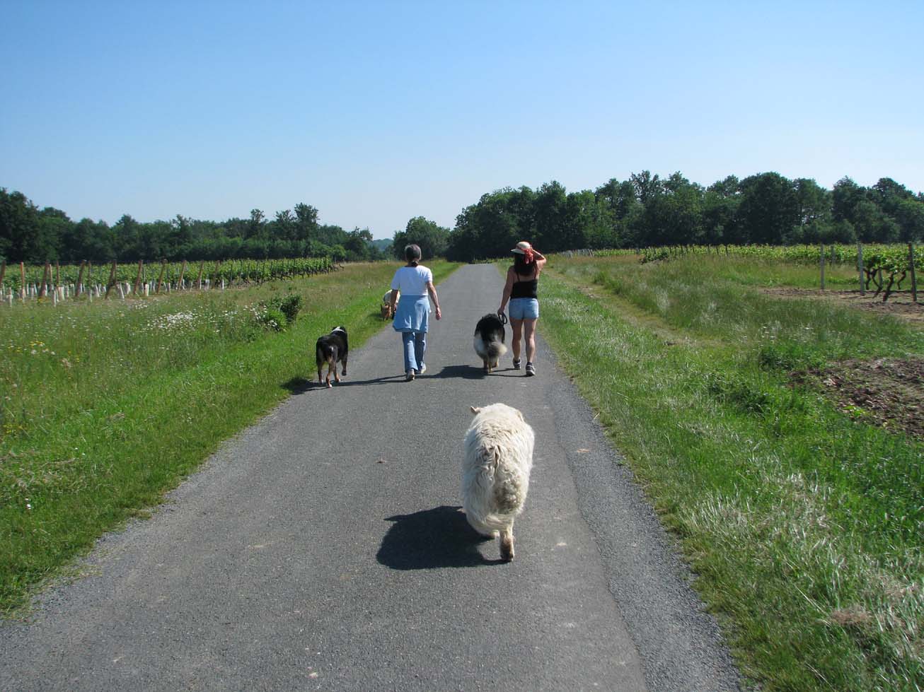 Knitting and crochet and retreats June 2010