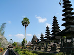 welcome to exotica Indonesia