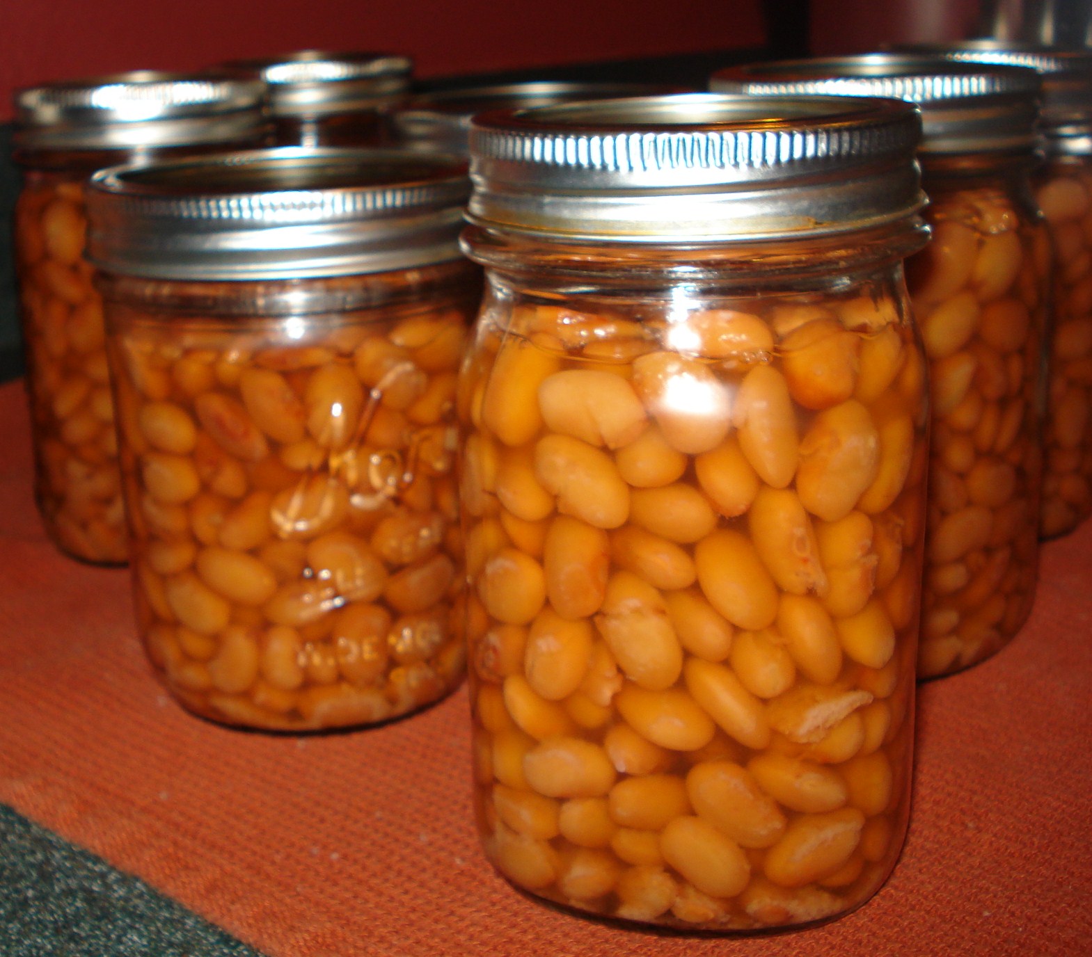 Basic Beans Pressure canning Pinto Beans Canning Homemade!